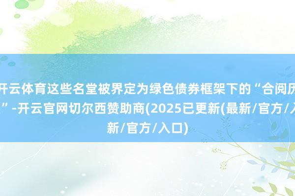 开云体育这些名堂被界定为绿色债券框架下的“合阅历名堂”-开云官网切尔西赞助商(2025已更新(最新/官方/入口)