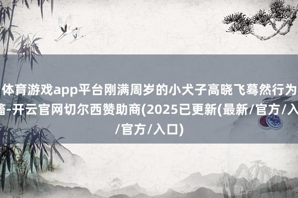 体育游戏app平台刚满周岁的小犬子高晓飞蓦然行为抽搐-开云官网切尔西赞助商(2025已更新(最新/官方/入口)