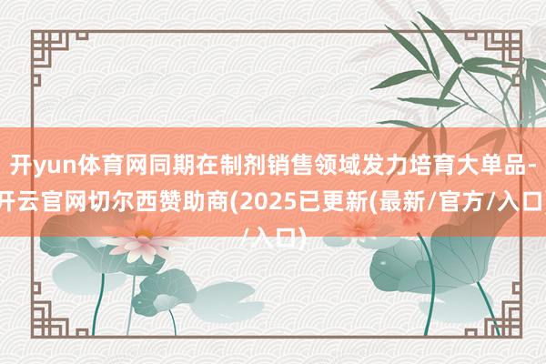 开yun体育网同期在制剂销售领域发力培育大单品-开云官网切尔西赞助商(2025已更新(最新/官方/入口)