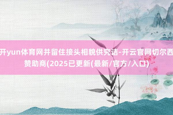 开yun体育网并留住接头相貌供究诘-开云官网切尔西赞助商(2025已更新(最新/官方/入口)