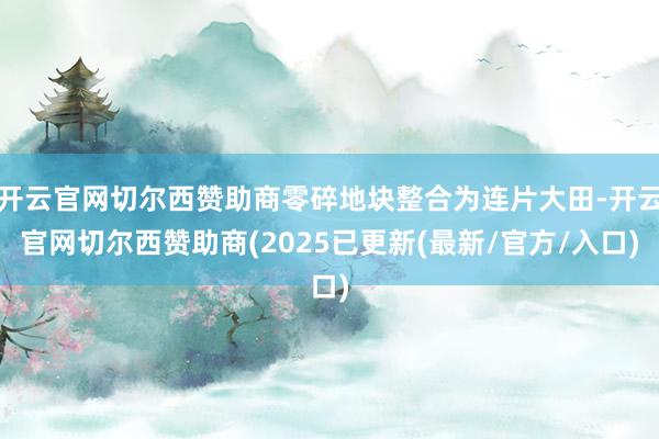 开云官网切尔西赞助商零碎地块整合为连片大田-开云官网切尔西赞助商(2025已更新(最新/官方/入口)