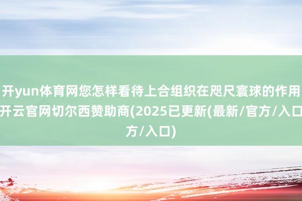 开yun体育网您怎样看待上合组织在咫尺寰球的作用-开云官网切尔西赞助商(2025已更新(最新/官方/入口)